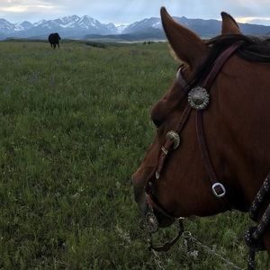 Meet your Posher, Ty